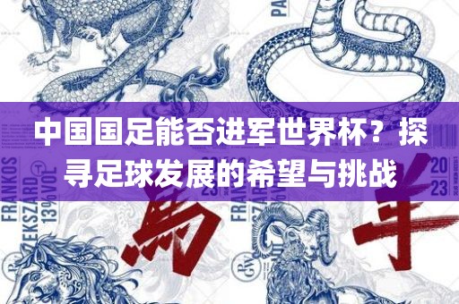 中国国足能否进军世界杯？探寻足球发展的希望与挑战