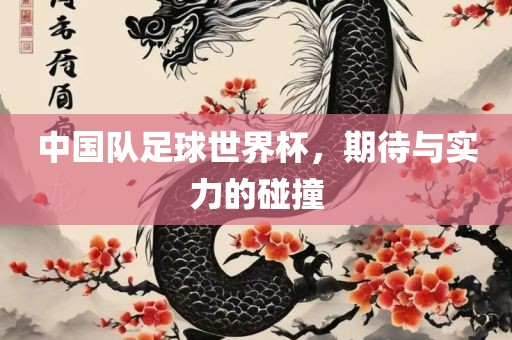 中国队足球世界杯，期待与实力的碰撞