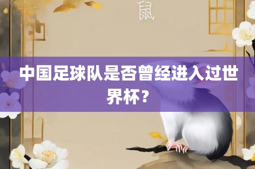 中国足球队是否曾经进入过世界杯？