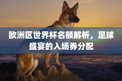 欧洲区世界杯名额解析，足球盛宴的入场券分配