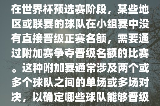 世界杯小组附加赛通常指的是在世界杯预选赛阶段，某些地区或联赛的球队在小组赛中没有直接晋级正赛名额，需要通过附加赛争夺晋级名额的比赛。这种附加赛通常涉及两个或多个球队之间的单场或多场对决，以确定哪些球队能够晋级世界杯决赛阶段。