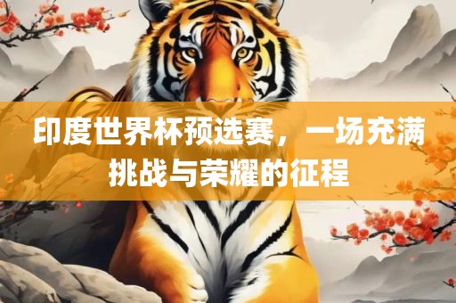 印度世界杯预选赛，一场充满挑战与荣耀的征程
