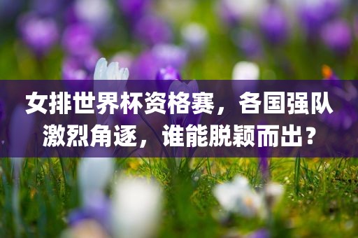 女排世界杯资格赛，各国强队激烈角逐，谁能脱颖而出？