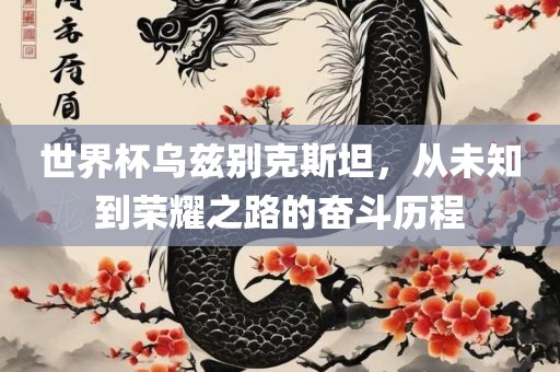 世界杯乌兹别克斯坦，从未知到荣耀之路的奋斗历程