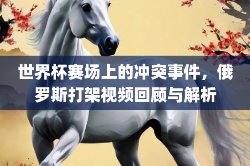 世界杯赛场上的冲突事件，俄罗斯打架视频回顾与解析
