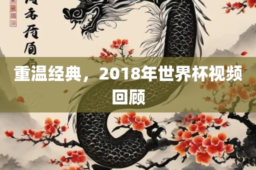 重温经典，2018年世界杯视频回顾
