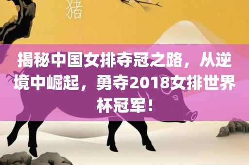 揭秘中国女排夺冠之路，从逆境中崛起，勇夺2018女排世界杯冠军！