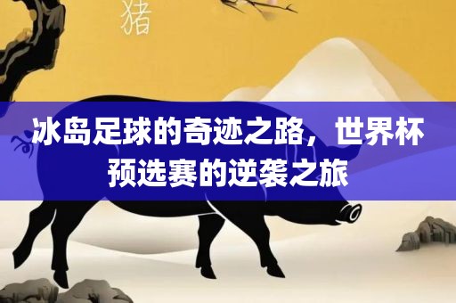 冰岛足球的奇迹之路，世界杯预选赛的逆袭之旅