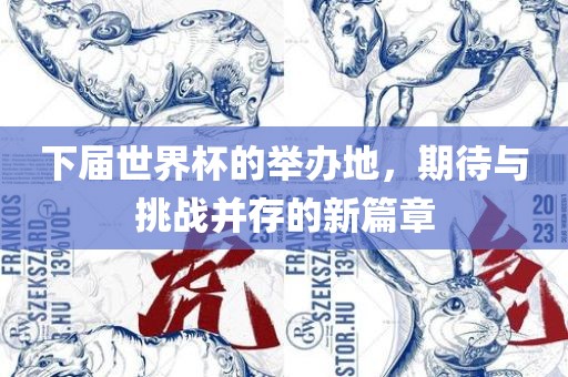 下届世界杯的举办地，期待与挑战并存的新篇章