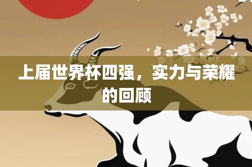 上届世界杯四强，实力与荣耀的回顾