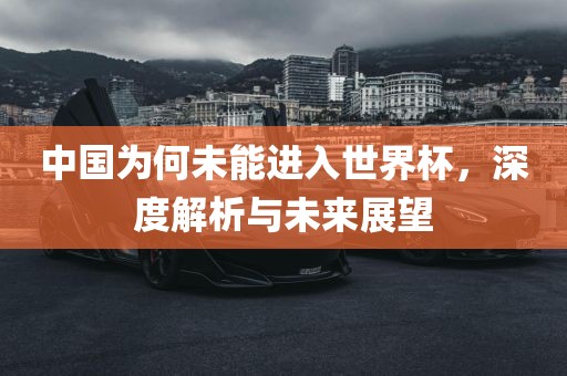 中国为何未能进入世界杯，深度解析与未来展望