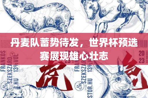丹麦队蓄势待发，世界杯预选赛展现雄心壮志