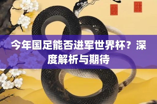 今年国足能否进军世界杯？深度解析与期待