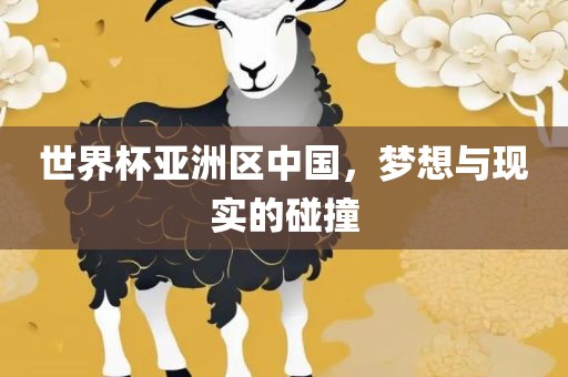 世界杯亚洲区中国，梦想与现实的碰撞