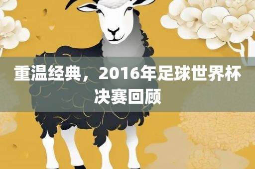 重温经典，2016年足球世界杯决赛回顾