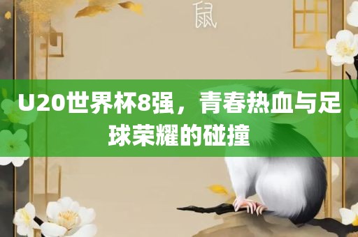 U20世界杯8强，青春热血与足球荣耀的碰撞