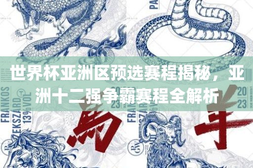 世界杯亚洲区预选赛程揭秘，亚洲十二强争霸赛程全解析