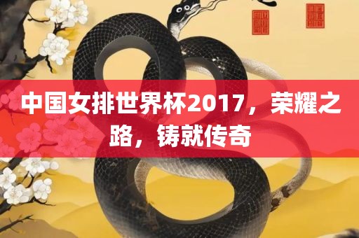 中国女排世界杯2017，荣耀之路，铸就传奇
