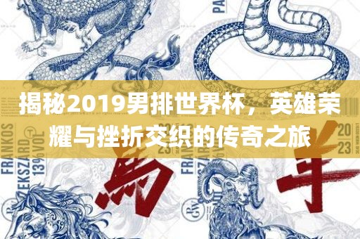 揭秘2019男排世界杯，英雄荣耀与挫折交织的传奇之旅