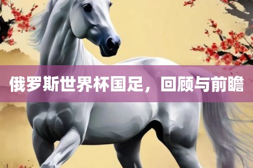 俄罗斯世界杯国足，回顾与前瞻