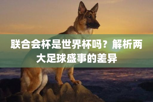 联合会杯是世界杯吗？解析两大足球盛事的差异