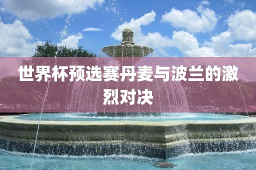 世界杯预选赛丹麦与波兰的激烈对决