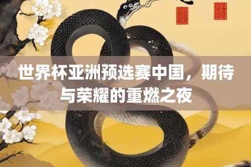 世界杯亚洲预选赛中国，期待与荣耀的重燃之夜