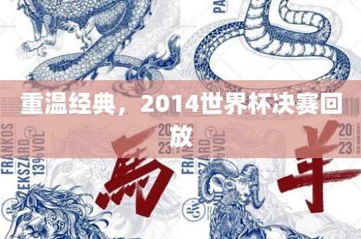 重温经典，2014世界杯决赛回放