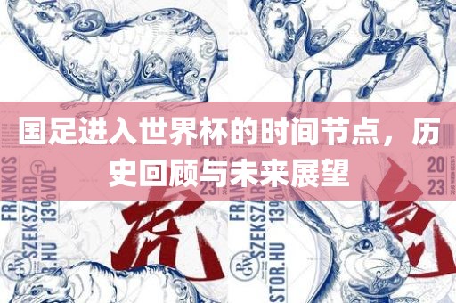 国足进入世界杯的时间节点，历史回顾与未来展望