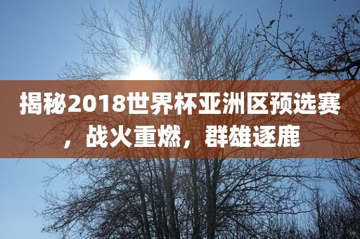 揭秘2018世界杯亚洲区预选赛，战火重燃，群雄眉山市正发家政服务有限公司逐鹿