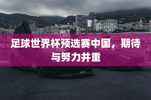 足球世界杯预选赛中国，期待与努力并重