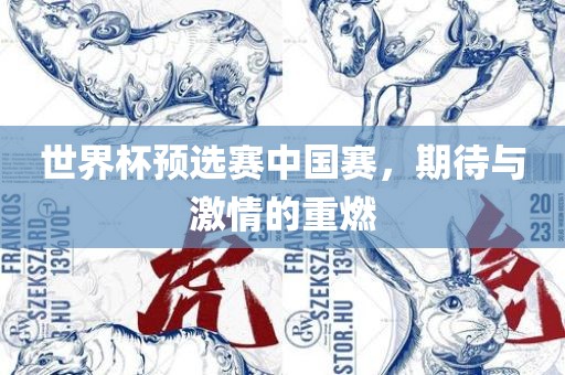 世界杯预选赛中国赛，期待与激情的重燃