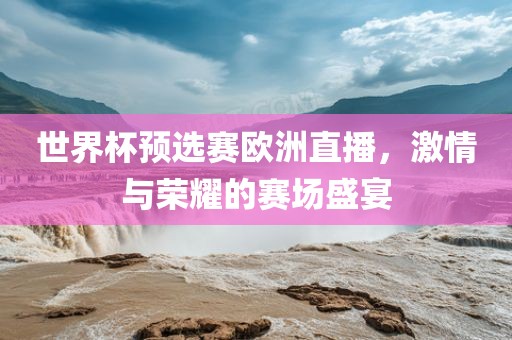 世界杯预选赛欧洲直播，激情与荣耀的赛场盛宴