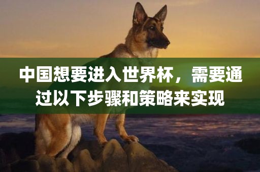 中国想要进入世界杯，需要通过以下步骤和策略来实现