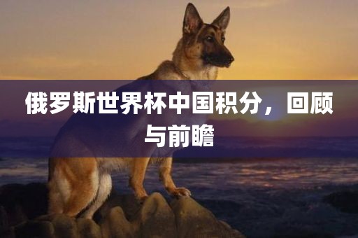 俄罗斯世界杯中国积分，回顾与前瞻