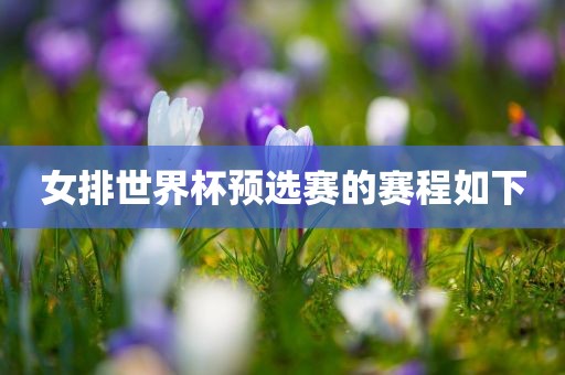 女排世界杯预选赛的赛程如下