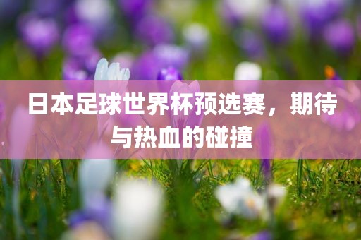 日本足球世界杯预选赛，期待与热血的碰撞