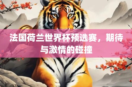 法国荷兰世界杯预选赛，期待与激情的碰撞