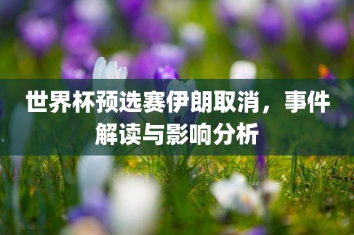 世界杯预选赛伊朗取消，事件解读与影响分析