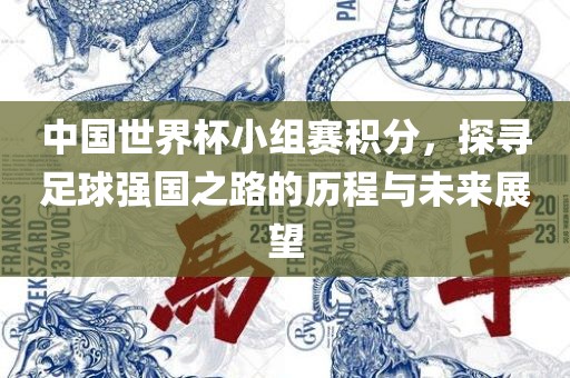 中国世界杯小组赛积分，探寻足球强国之路的历程与未来展望