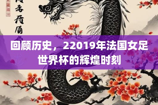 回顾历史，22019年法国女足世界杯的辉煌时刻眉山市正发家政服务有限公司