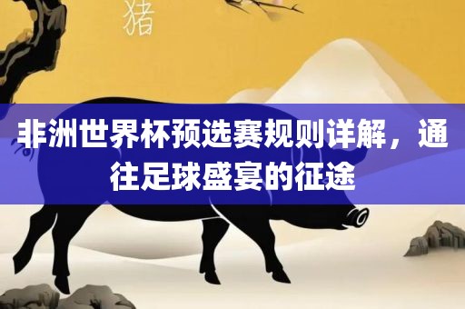 非洲世界杯预选赛规则详解，通往足球盛宴的征途