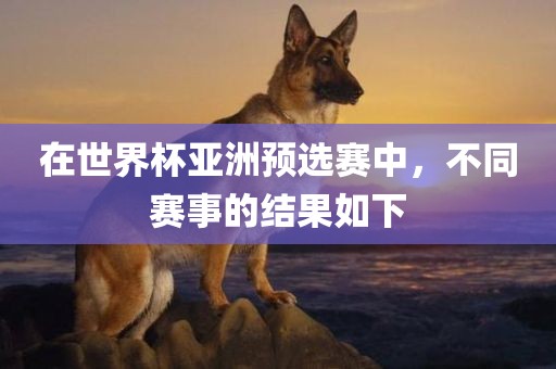 在世界杯亚洲预选赛中，不同赛事的结果如下
