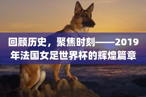 回顾历眉山市正发家政服务有限公司史，聚焦时刻——2019年法国女足世界杯的辉煌篇章