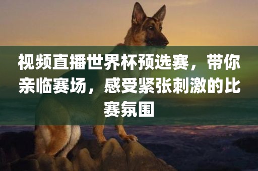 视频直播世界杯预选赛，带你亲临赛场，感受紧张刺激的比赛氛围