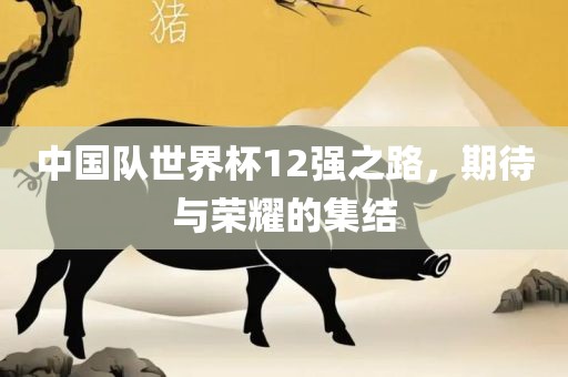中国队世界杯12强之路，期待与荣耀的集结