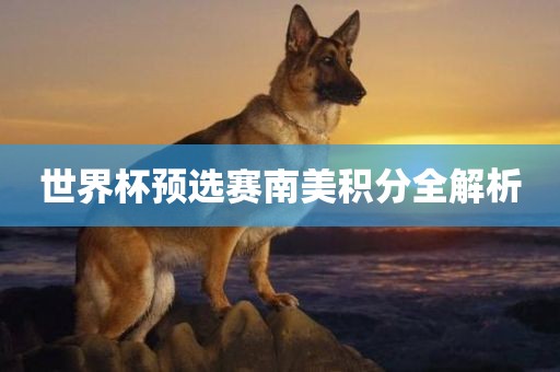 世界杯预选赛南美积分全解析