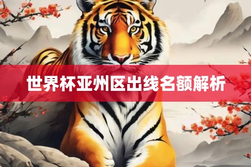 世界杯亚州区出线名额解析