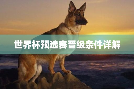 世界杯预选赛晋级条件详解