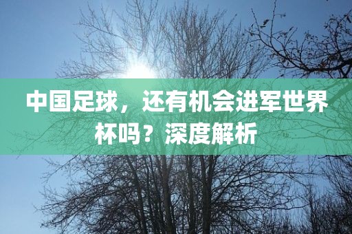 中国足球，还眉山市正发家政服务有限公司有机会进军世界杯吗？深度解析